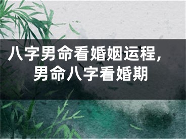 八字男命看婚姻运程,男命八字看婚期