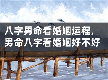 八字男命看婚姻运程,男命八字看婚姻好不好