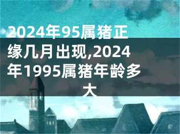 2024年95属猪正缘几月出现,2024年1995属猪年龄多大
