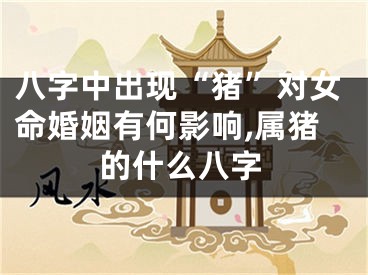 八字中出现“猪”对女命婚姻有何影响,属猪的什么八字