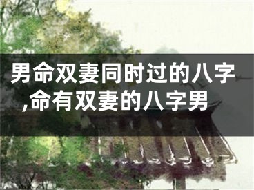男命双妻同时过的八字,命有双妻的八字男