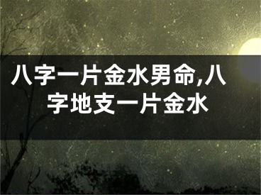 八字一片金水男命,八字地支一片金水