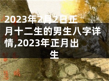 2023年2月2日正月十二生的男生八字详情,2023年正月出生
