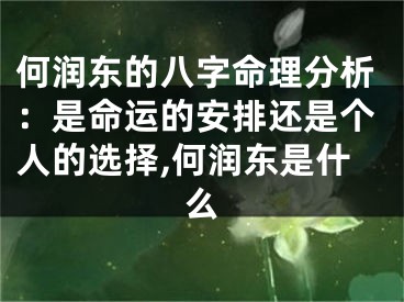 何润东的八字命理分析：是命运的安排还是个人的选择,何润东是什么