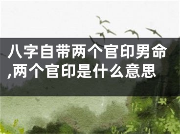 八字自带两个官印男命,两个官印是什么意思