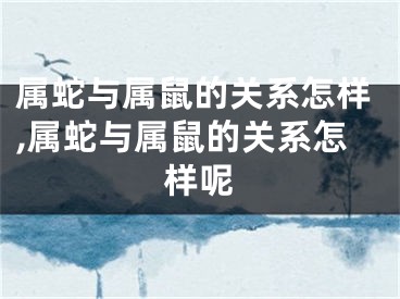 属蛇与属鼠的关系怎样,属蛇与属鼠的关系怎样呢