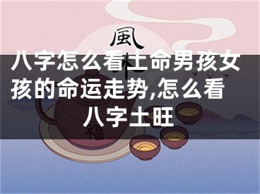 八字怎么看土命男孩女孩的命运走势,怎么看八字土旺