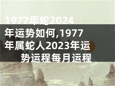 1977年蛇2024年运势如何,1977年属蛇人2023年运势运程每月运程