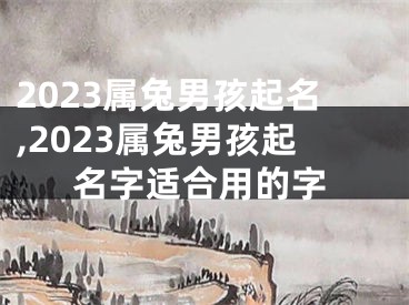 2023属兔男孩起名,2023属兔男孩起名字适合用的字