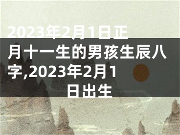 2023年2月1日正月十一生的男孩生辰八字,2023年2月1日出生