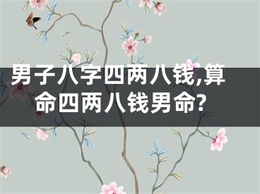 男子八字四两八钱,算命四两八钱男命?