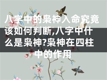 八字中的枭神入命究竟该如何判断,八字中什么是枭神?枭神在四柱中的作用