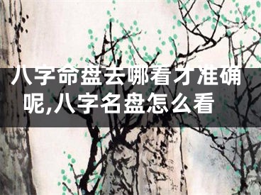 八字命盘去哪看才准确呢,八字名盘怎么看