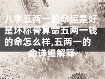 八字五两一的命运是好是坏称骨算命五两一钱的命怎么样,五两一的命详细解释