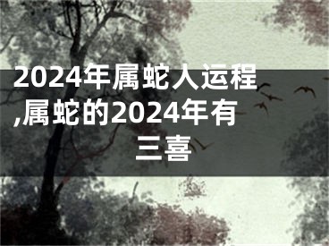 2024年属蛇人运程,属蛇的2024年有三喜