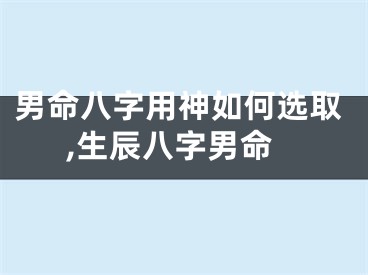 男命八字用神如何选取,生辰八字男命