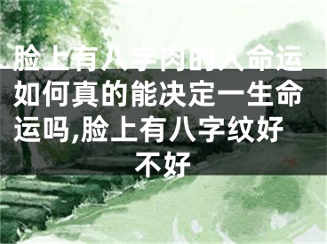 脸上有八字肉的人命运如何真的能决定一生命运吗,脸上有八字纹好不好