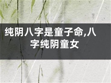纯阴八字是童子命,八字纯阴童女