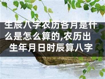 生辰八字农历各月是什么是怎么算的,农历出生年月日时辰算八字