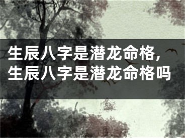 生辰八字是潜龙命格,生辰八字是潜龙命格吗