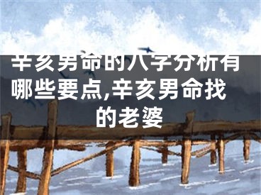 辛亥男命的八字分析有哪些要点,辛亥男命找的老婆
