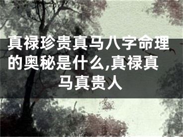 真禄珍贵真马八字命理的奥秘是什么,真禄真马真贵人