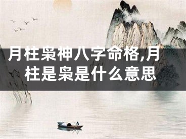 月柱枭神八字命格,月柱是枭是什么意思