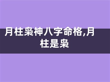 月柱枭神八字命格,月柱是枭