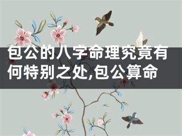 包公的八字命理究竟有何特别之处,包公算命