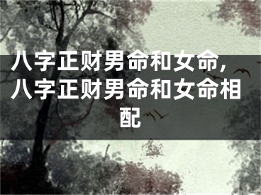 八字正财男命和女命,八字正财男命和女命相配