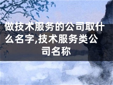 做技术服务的公司取什么名字,技术服务类公司名称