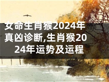 女命生肖猴2024年真凶诊断,生肖猴2024年运势及运程