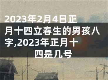 2023年2月4日正月十四立春生的男孩八字,2023年正月十四是几号