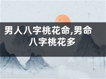 男人八字桃花命,男命八字桃花多