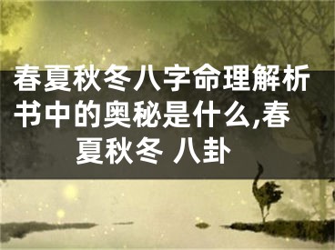 春夏秋冬八字命理解析书中的奥秘是什么,春夏秋冬 八卦