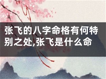张飞的八字命格有何特别之处,张飞是什么命