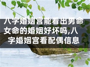 八字婚姻宫能看出男命女命的婚姻好坏吗,八字婚姻宫看配偶信息