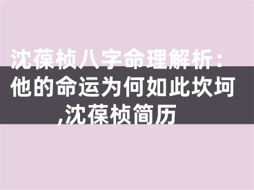 沈葆桢八字命理解析：他的命运为何如此坎坷,沈葆桢简历