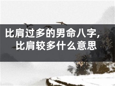 比肩过多的男命八字,比肩较多什么意思