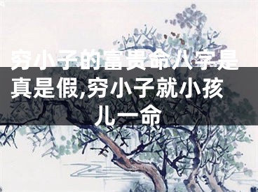 穷小子的富贵命八字是真是假,穷小子就小孩儿一命
