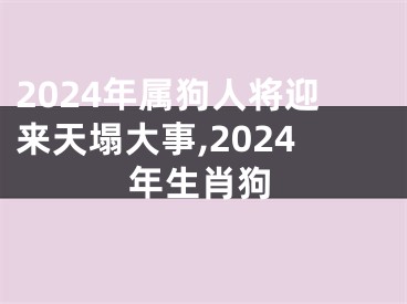 2024年属狗人将迎来天塌大事,2024年生肖狗