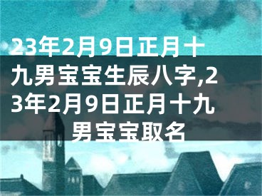 23年2月9日正月十九男宝宝生辰八字,23年2月9日正月十九男宝宝取名