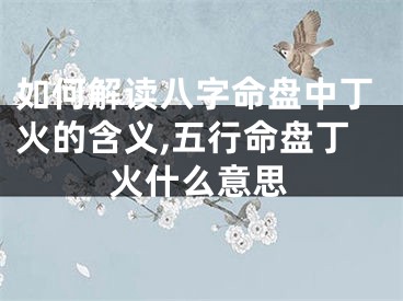 如何解读八字命盘中丁火的含义,五行命盘丁火什么意思