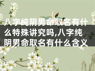 八字纯阴男命取名有什么特殊讲究吗,八字纯阴男命取名有什么含义