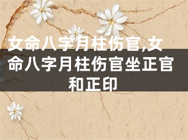 女命八字月柱伤官,女命八字月柱伤官坐正官和正印