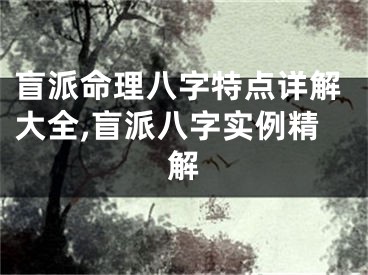 盲派命理八字特点详解大全,盲派八字实例精解