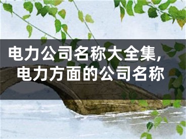 电力公司名称大全集,电力方面的公司名称