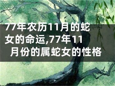 77年农历11月的蛇女的命运,77年11月份的属蛇女的性格