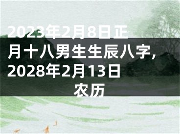 2023年2月8日正月十八男生生辰八字,2028年2月13日农历