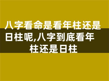 八字看命是看年柱还是日柱呢,八字到底看年柱还是日柱